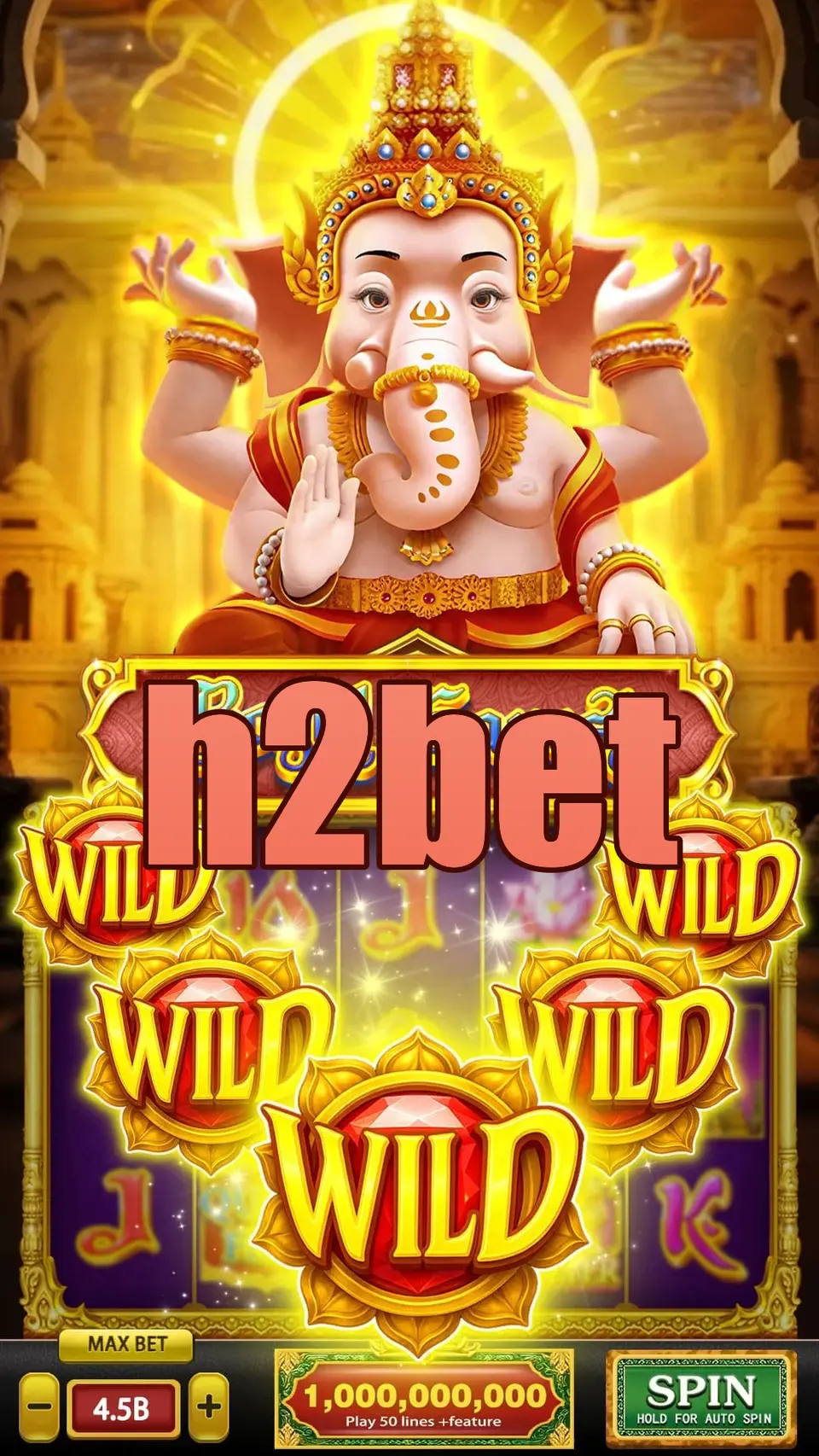 h2bet Login